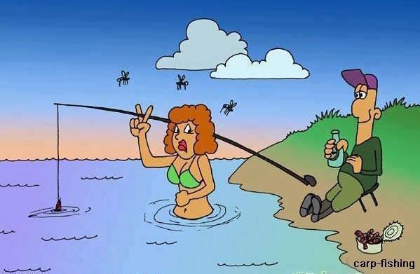 diverse adunate - 5599037510253349131641790039702n.jpg